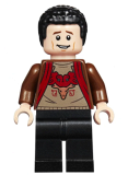 LEGO hp177 Viktor Krum, Reddish Brown Jacket