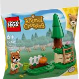 Обзор на набор LEGO 30662